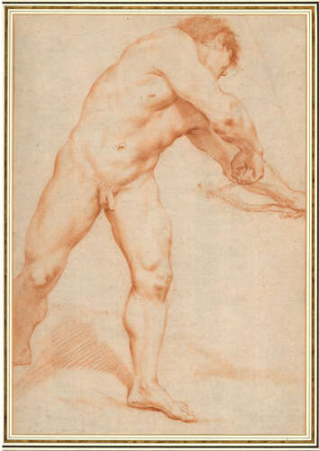 Cignani drawing